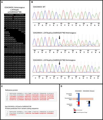 CEACAM Gene Family Mutations Associated With Inherited Breast Cancer Risk – A <mark class="highlighted">Comparative Oncology</mark> Approach to Discovery